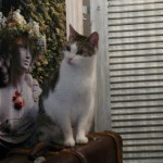 Minki packt die Koffer